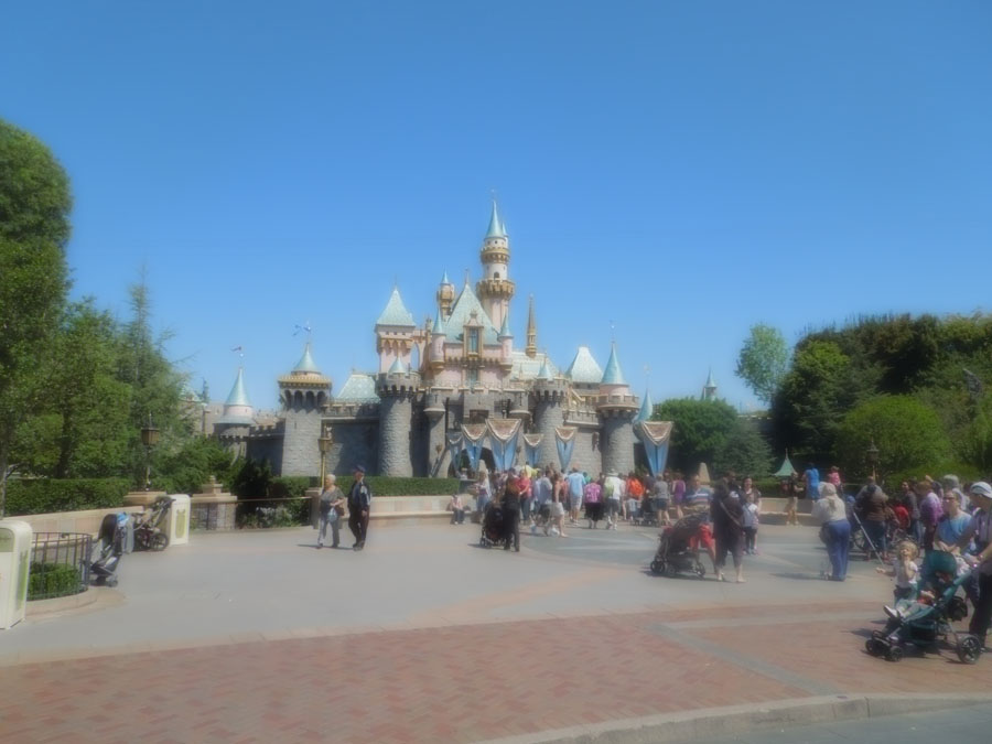 Disneyland Castle Picture